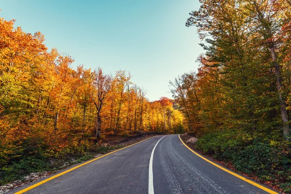 Klikaté Silnici Barevné Podzimní Horského Lesa — Stock fotografie