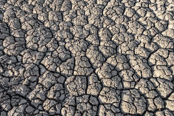 Lecho Seco Río Montaña Textura — Foto de Stock