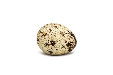 Bıldırcın yumurta beyaz zemin üzerine