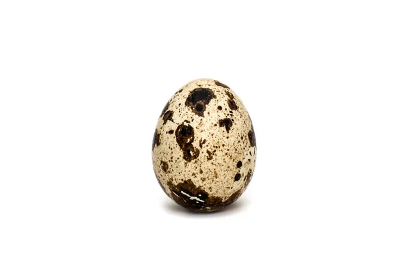 Telur Puyuh Pada Latar Belakang Putih — Stok Foto
