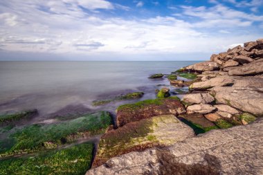 Renkli deniz kıyı ile yeşil algler