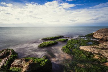 Renkli deniz kıyı ile yeşil algler