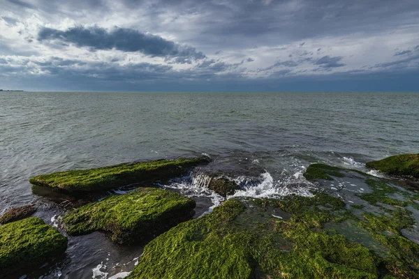 Красочный Морской Берег Зелеными Водорослями — стоковое фото