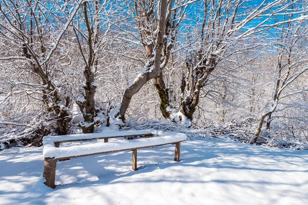 Bänk i snöiga trädgården — Stockfoto