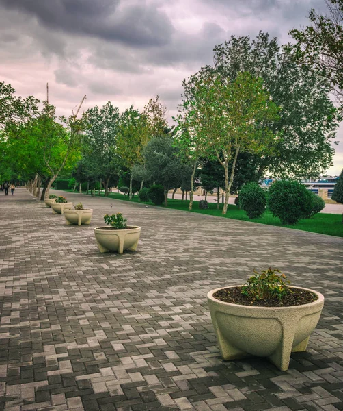 Bakü kentinde Ulusal Sahil Parkı — Stok fotoğraf