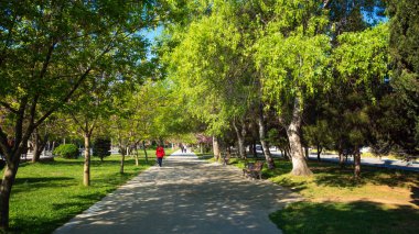 Bahar yeşil şehir parkında Alley