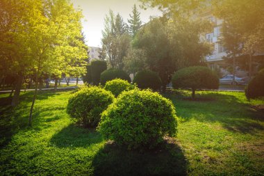 Bahar şehir parkında yeşil alanlar