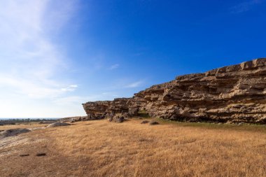 Küçük antik kayalar ve kuru sarı çim sahne