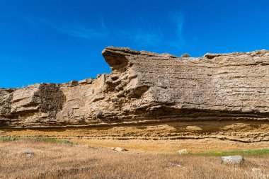 Küçük antik kayalar ve kuru sarı çim sahne