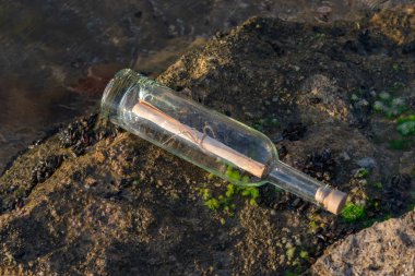 Yosun la kaplı bir taş üzerinde şişe içinde Mesaj