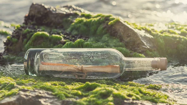 Message in a bottle on a stone covered with seaweed