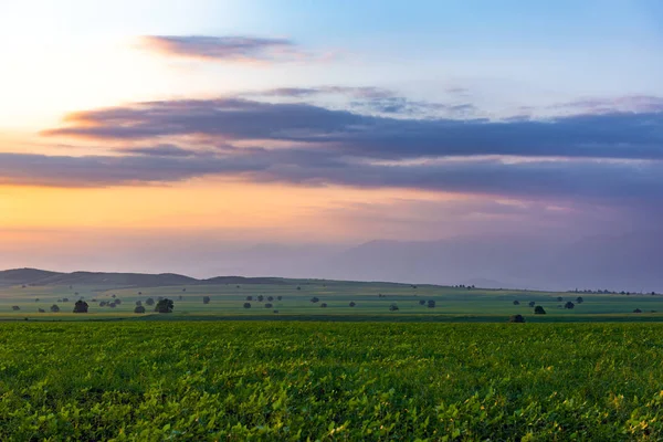 Farmland in the sunset time — Stock Photo, Image