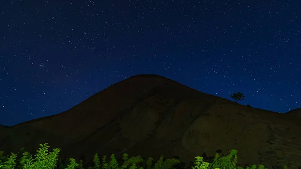 Albero solitario sul pendio della montagna durante la notte — Foto Stock