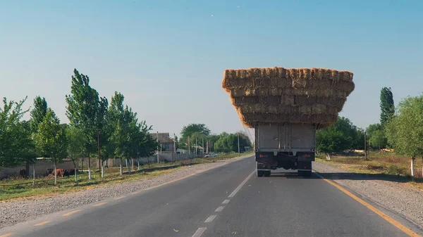 Truck loaded with hay on the road