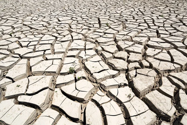 Arid climate, cracked earth background