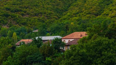 Yeşil dağların yamacında konut evleri