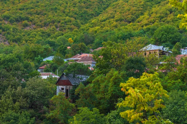 Житлові будинки на схилі зелених гір — стокове фото