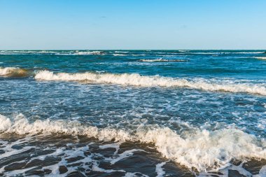 Sahilde Deniz Sörfü