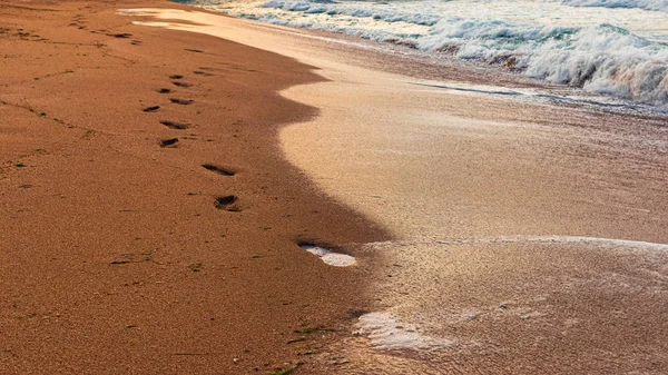 Human footprints in the sand by the sea