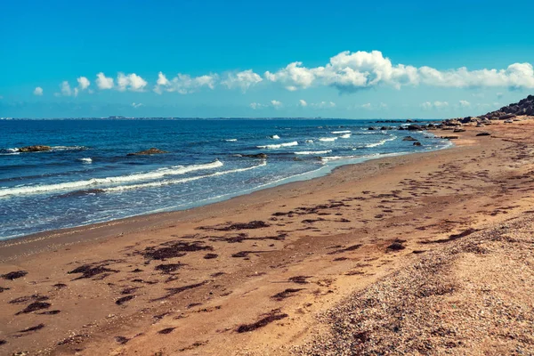 Wild empty beach on the sea coast — Stock Photo, Image