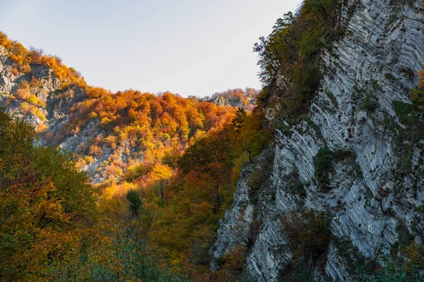 Garganta de montaña en otoño — Foto de Stock