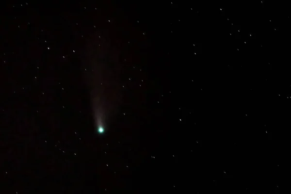 Cometa Neowise 2020 Neowise Céu Estrelado — Fotografia de Stock