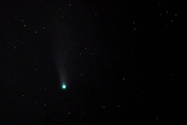 Cometa Neowise 2020 Neowise Céu Estrelado — Fotografia de Stock