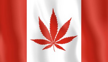 Kanada bayrağında ot. İçinde kenevir yaprağı olan Kanada bayrağı kavramı. Gerçekçi tekstil bayrağı. Vektör illüstrasyonu