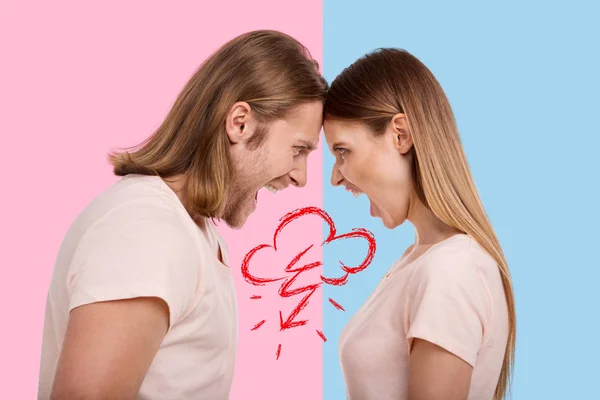 Profile of furious couple screaming at each other — Stock Photo, Image