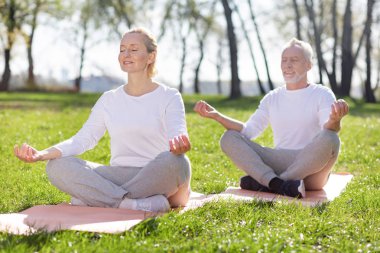 Neşeli huzur insanlar yoga uygulamak