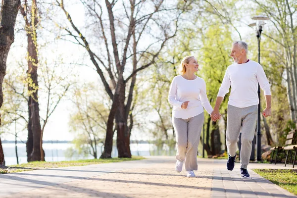 Nice aged couple holding hands — Stock Photo, Image