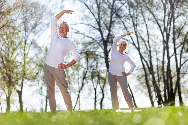 Delighted nice people exercising outdoors