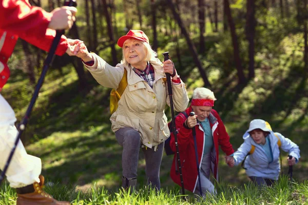 Uyarı takım ormanda hiking — Stok fotoğraf