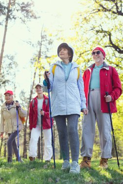 Mutlu yürüyüşçü orman temiz hava zevk