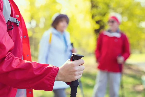 Useful and helpful stick for hiking — Stock Photo, Image