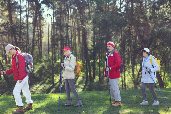 Концентрированная команда туристов в лесу — стоковое фото