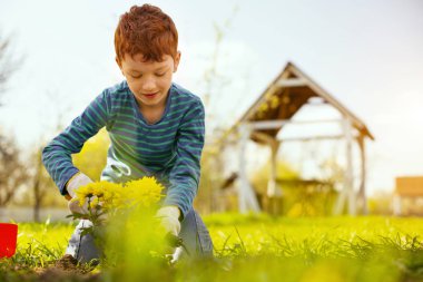 Mutlu güzel çocuk zevk doğa
