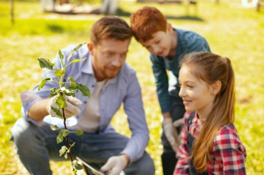 Genç ağaç seçici odak