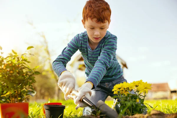 Allvarlig Trevlig Hårt Arbetande Pojke Med Trädgårdsskötsel Verktyg Samtidigt Koncentrera — Stockfoto