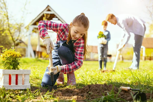 Chica Positiva Alegre Mirando Suelo Mientras Planta Flores Allí — Foto de Stock