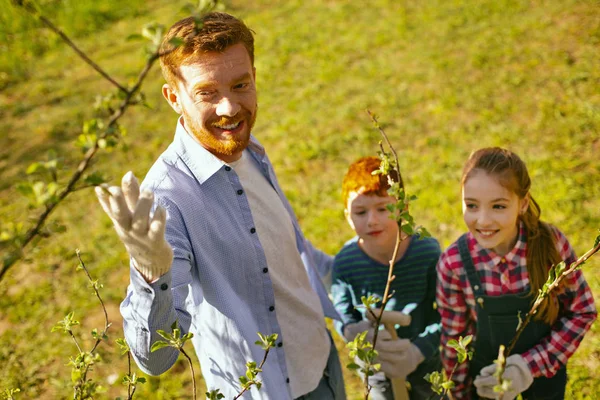 Feliz hombre encantado apuntando a los árboles — Foto de Stock