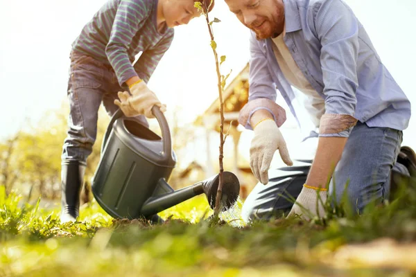 Padre e hijo regando el árbol — Foto de Stock