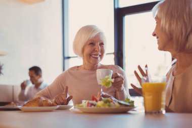 Two upbeat elderly women talking in cafe clipart