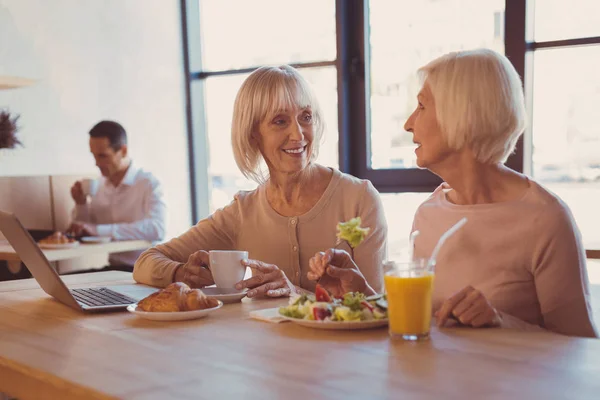 Agradable anciana mujeres charlando mientras come en la cafetería — Foto de Stock