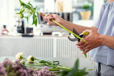 Güzel bir çiçeğe yaklaş