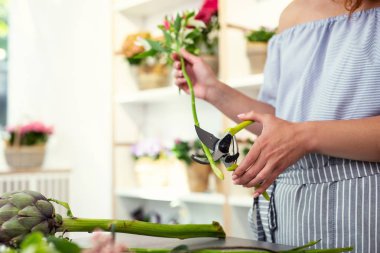 Kesilmiş bir çiçek yakın çekim