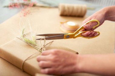 Bir ip kesme Makası yakın çekim