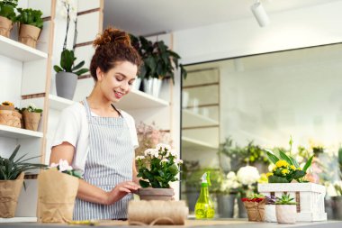 Neşeli pozitif kadın houseplant arıyor