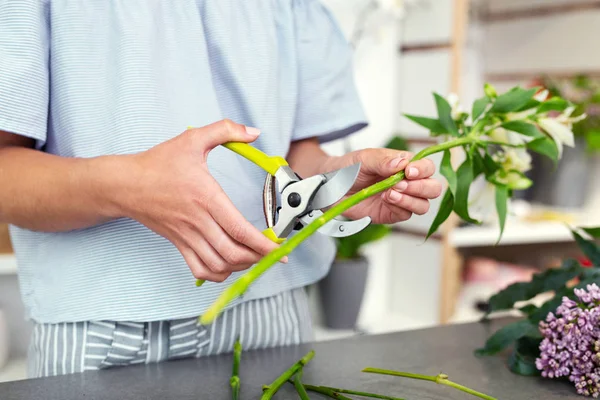 Primer plano de la podadora de jardín — Foto de Stock