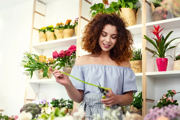 Niza joven mujer trabajando — Foto de Stock